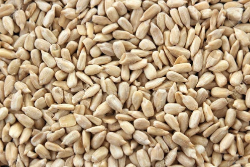 Sunflower Seeds (250 gr / 0.55lbs) - Huerto del Carmen