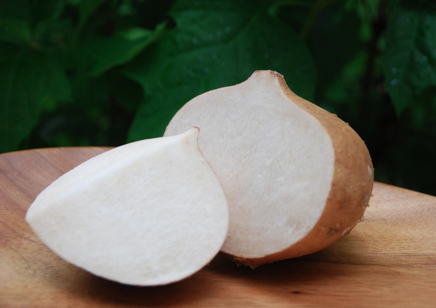 Jicama (1 piece)