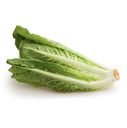 Lechuga orejona(1 Pieza)