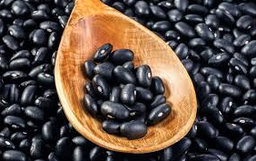 Frijol Negro (0.5 kg / 1.1lbs) - Huerto del Carmen