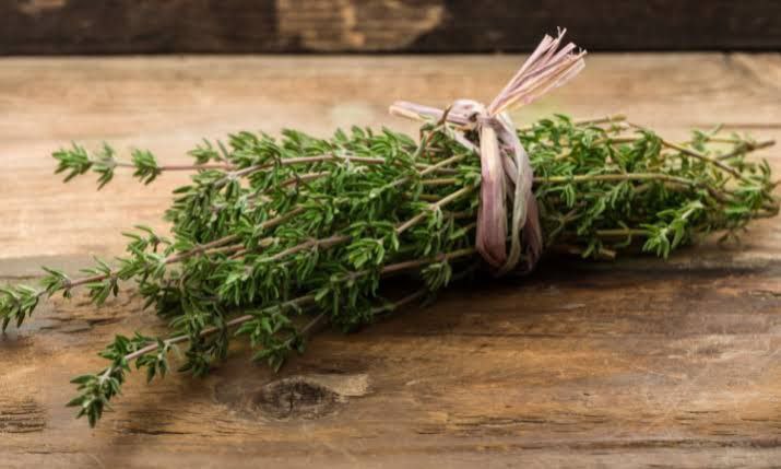 Thyme  40 gr 