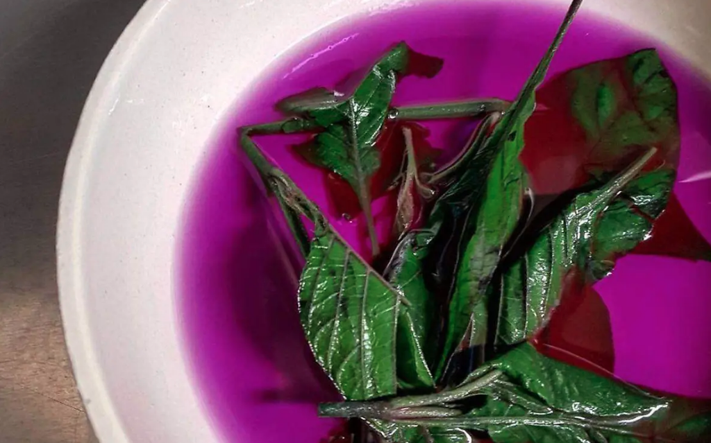 Muicle para Té - (50 gr / 0.11lbs)  - Manantial de las Flores