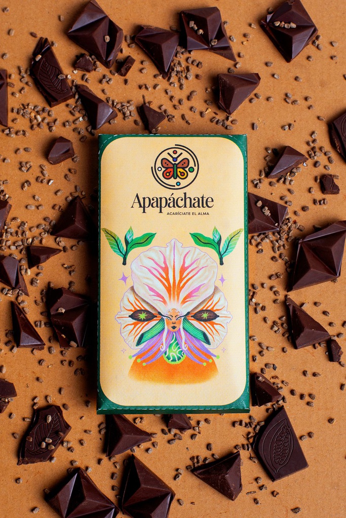 Barra de chocolate con cardamomo 80% cacao (70g)