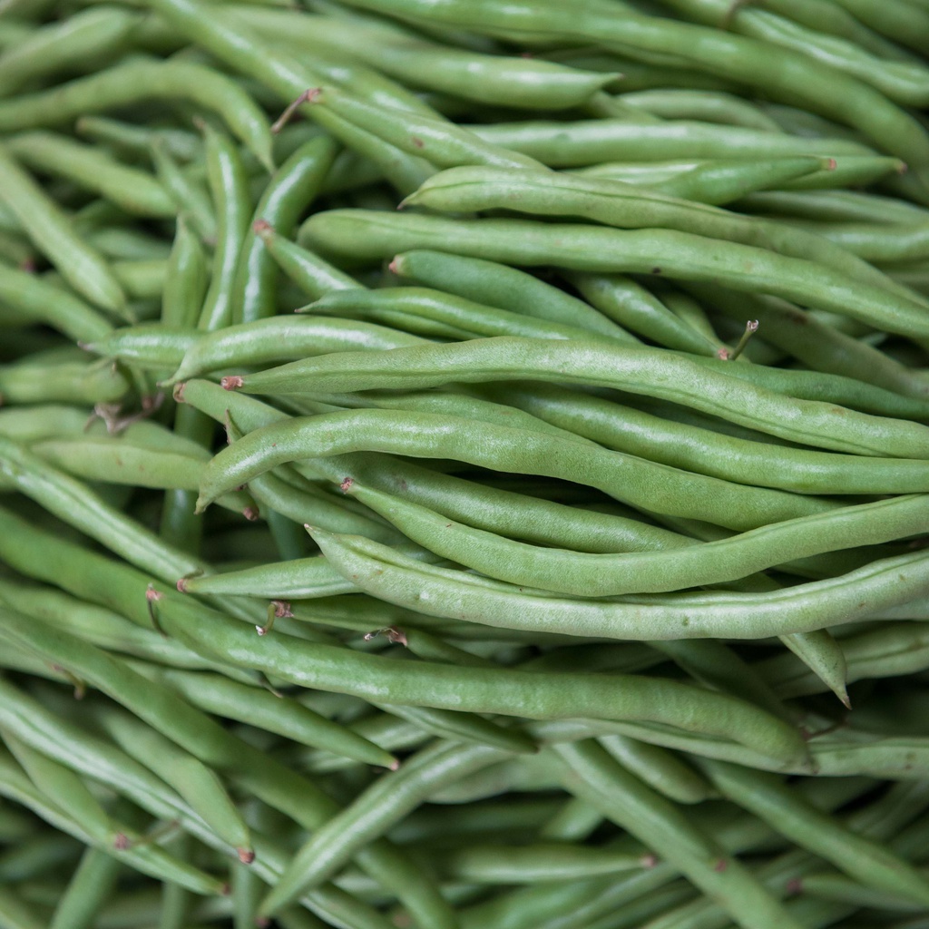 Green Beans (200 gr / 0.22lbs)