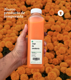 Carrot Juice - Villa de Patos 500 ml