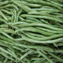 Ejote verde (200 gr / 0.44lbs)