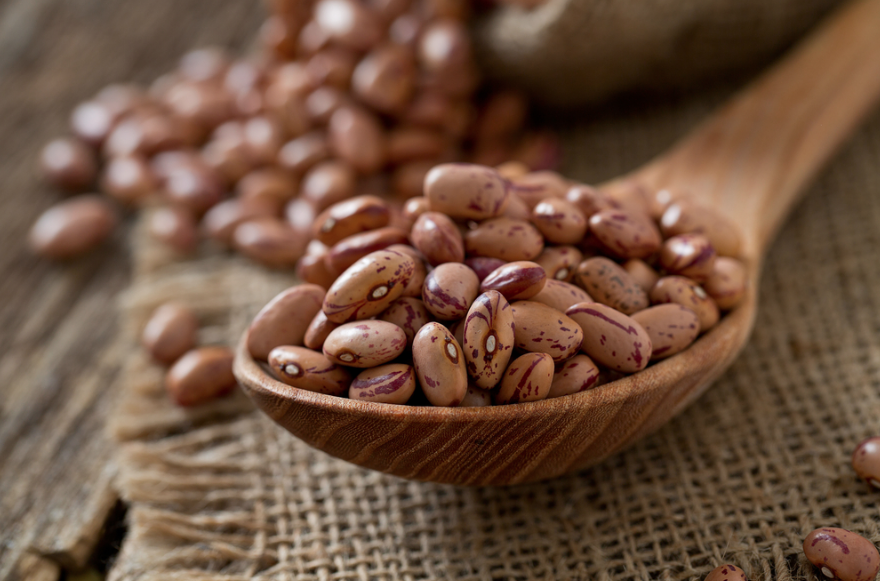 Frijol Pinto (1 kg / 2.2lbs)