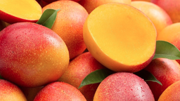 Mango (1 kg /2.2 lbs)